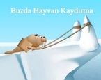 Buzda Kayma